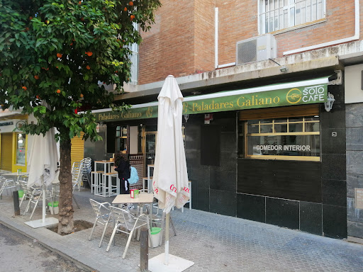 10801 bar restaurante paladares galiano