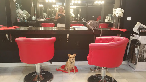 11533 belco peluqueria y centro estetico