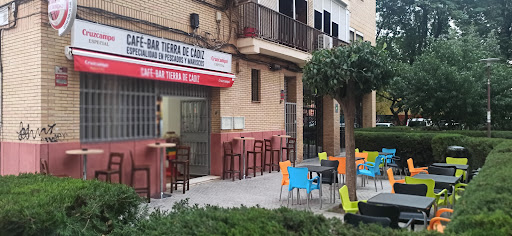 12080 bodega abaceria tierra de cadiz 1