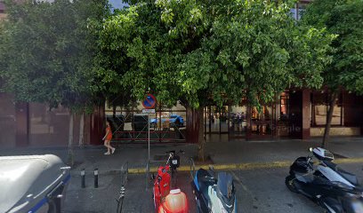 12870 c. balbino marron 8 1