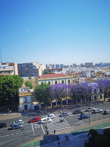 12925 c. feria 89 98 1