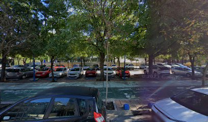 12987 c. leonardo da vinci 18 1