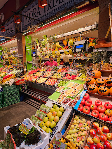 13081 c. san jorge 6