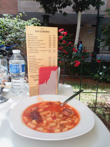 13373 cafe bar los castanos 1