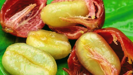 13696 cafe tinto del huila