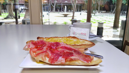 13810 cafeteria 8211 autoservicio expo 1