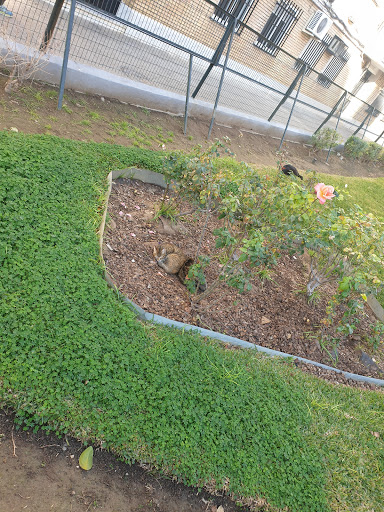 14703 calle comunidad extremena 4