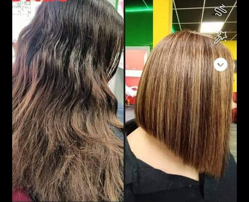 14769 cambio radical