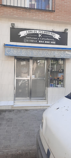 14928 carlos peluquero 1