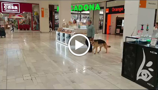 15603 centro comercial los arcos 1