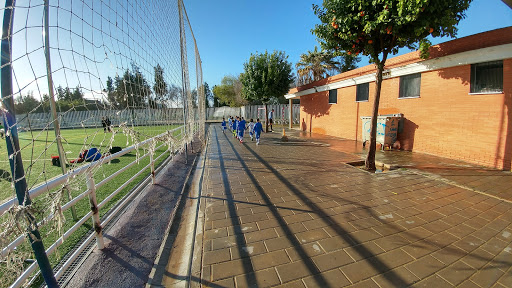 15762 centro deportivo san jeronimo parque