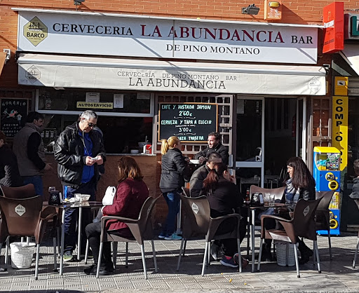 16205 cerveceria la abundancia de pino montano