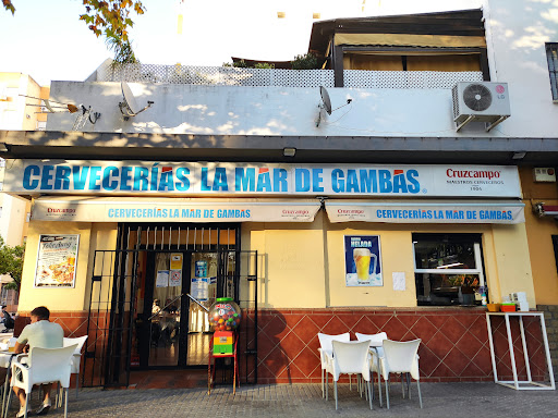 16285 cerveceria la mar de gambas
