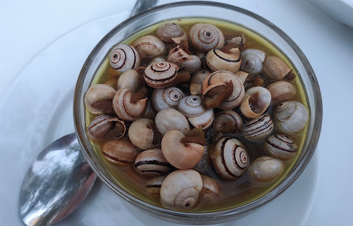 16491 cerveceria san julian 1