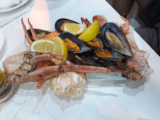 16494 cerveceria santa lucia