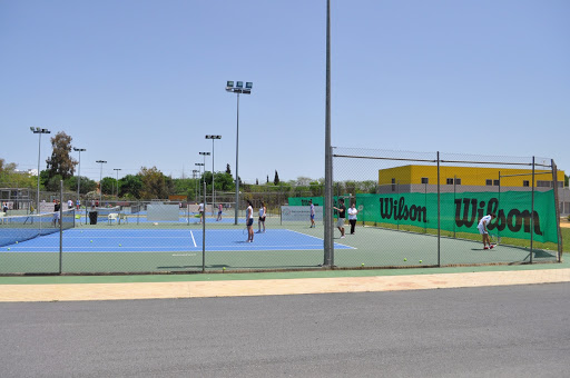 16541 cesur sevilla cafd formacion profesional