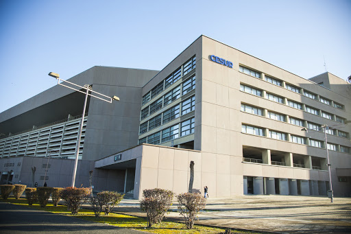 16545 cesur sevilla estadio formacion profesional