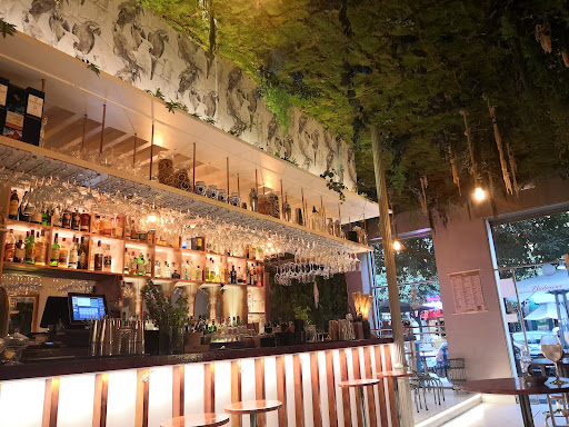 16555 chaman cocktail bar