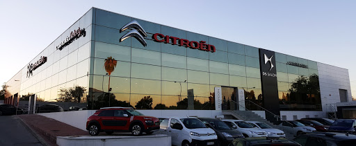 16815 citroen stellantis you sevilla 8211 san lazaro