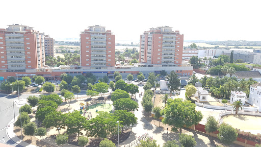 17051 clinica santa angela de la cruz