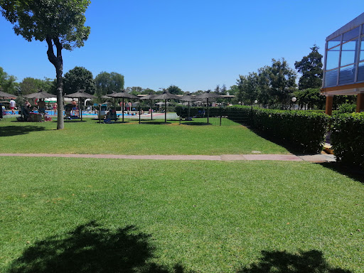 17094 club deportivo militar hispalis