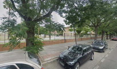 17145 coche en sevilla 1