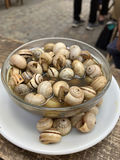 17253 colmao de triana 1