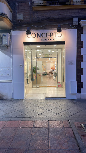 17365 concepto hair make up