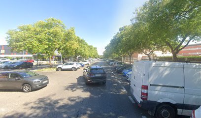 17670 culi sevilla 1