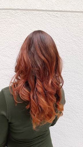 17762 daza peluqueros 1