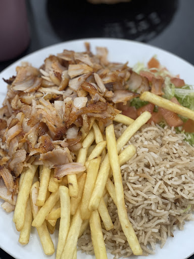 18192 donmek kebab ramon y cajal 1