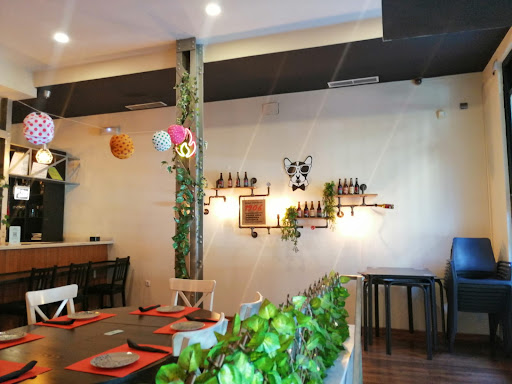 19011 el perro canalla 1