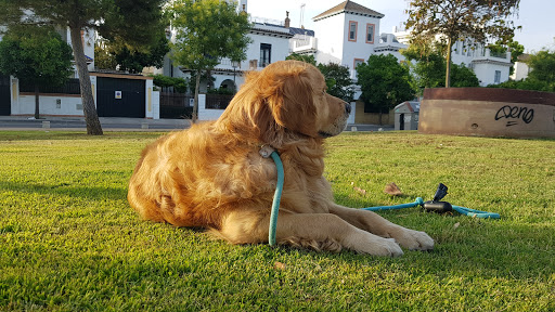 19056 el podenco park
