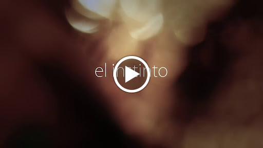 19116 el reto escape room 1