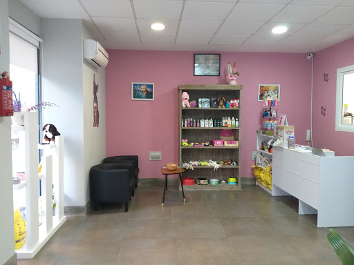 19784 espiritu animal peluqueria canina