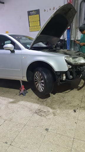 20001 eurorepar palos 51