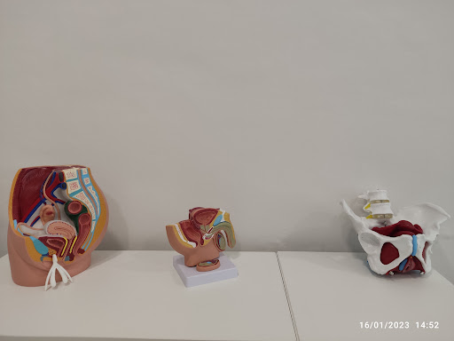 21255 fisioterapia integrativa corporal 8211 suelo pelvico