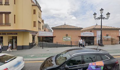 21663 galbarro n10 1