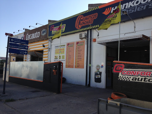 22031 gonzalez neumaticos