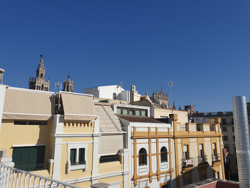 22104 green apartments