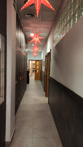 22195 grupo m carmen ruiz e hijos s.l.p