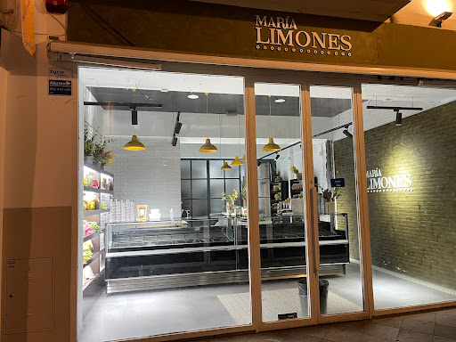 22553 heladeria maria limones puente y pellon