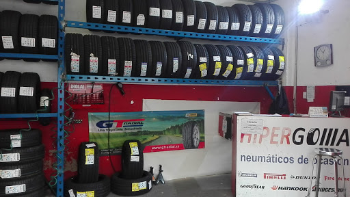 22713 hipergoma triana