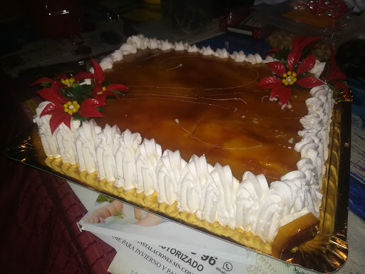 22884 horno nueva florida