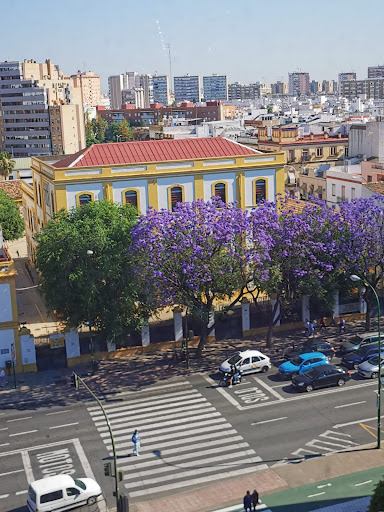 22889 horno san bruno 1