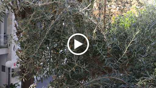 23061 hotel san gil sevilla 1