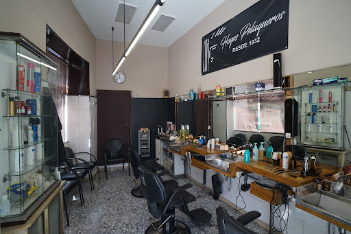 23118 hoyos peluqueros