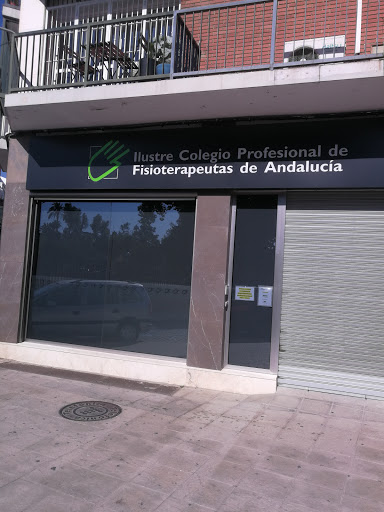 23299 illustrious college professional physiotherapists of andalusia