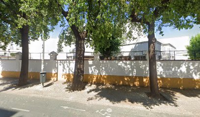 23618 inmoleal gis sl 1