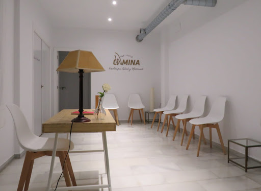 23710 instituto camina